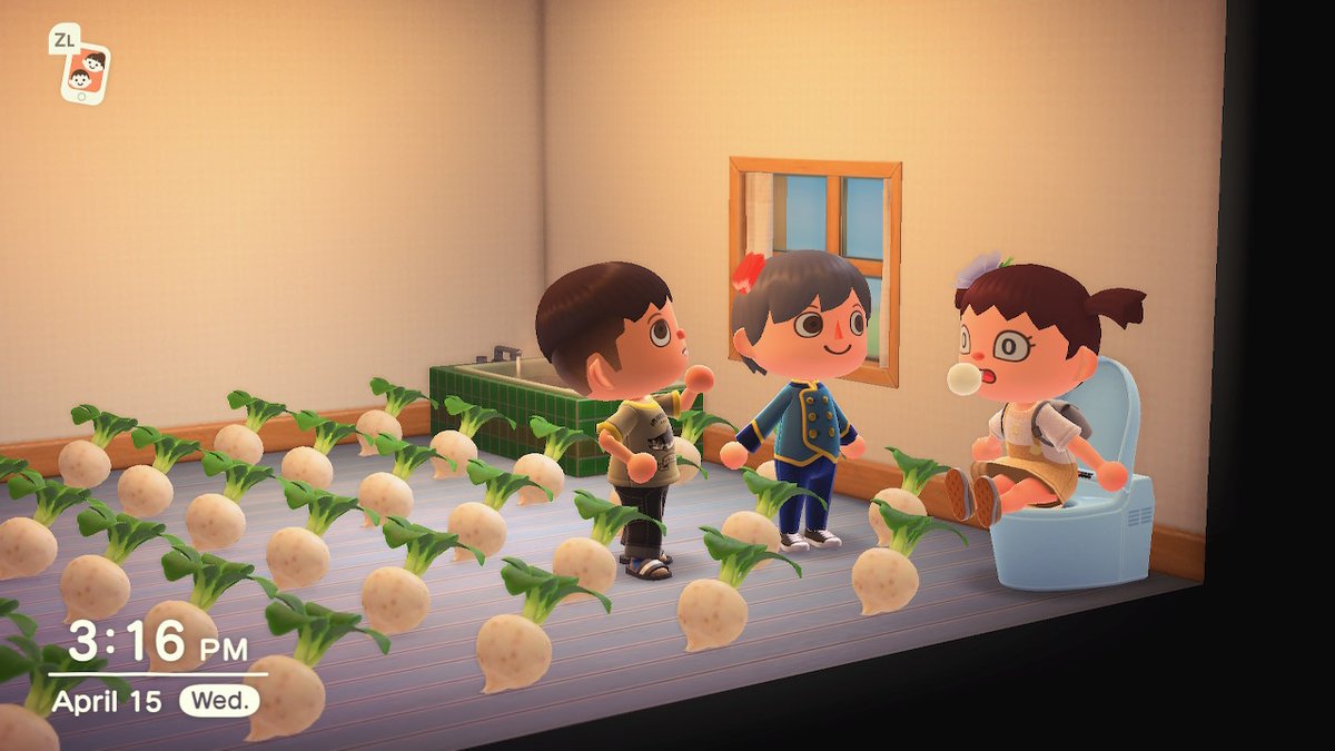 FernieMoCa's tweet photo. Here you go @perlax_ #AnimalCrossing https://t.co/3BOdHH1cGl