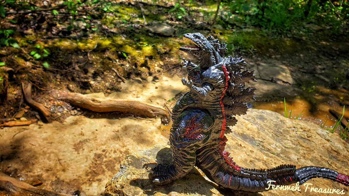 Go Go Godzilla #tnstateparks #hikewithme