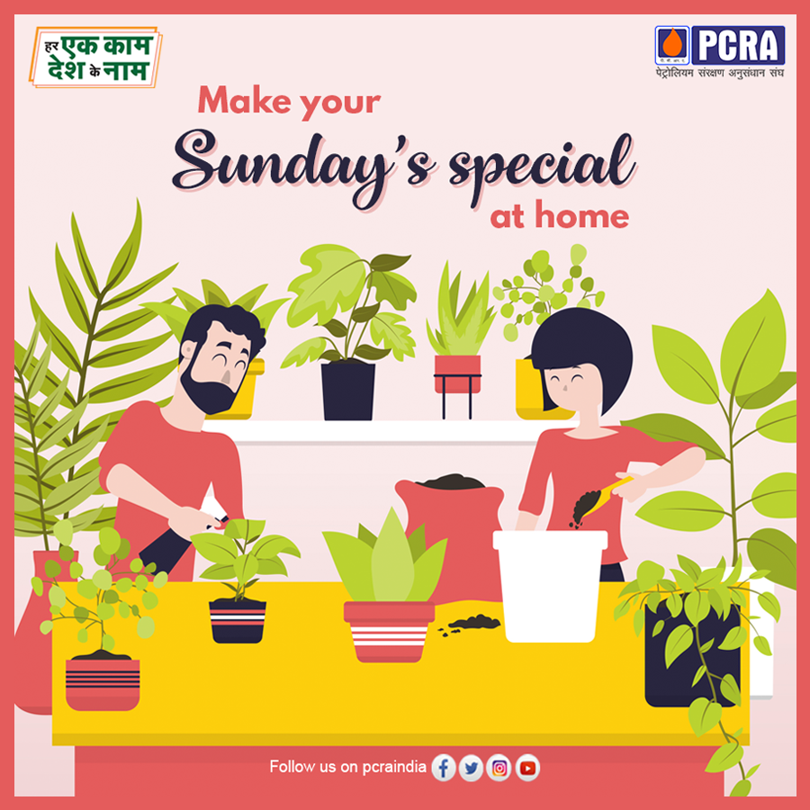 pcraindia's tweet photo. A couple of potted plants will make your home come alive 
&amp; full of fresh air. Take a pot, put the seeds &amp; fill it with the soil. #StayHome &amp;  create your own garden  with your loved ones.
#coronavirus #COVID__19 #StaySafe #IndiaFightsCorona #ConserveFuture #PCRA #sundayvibes https://t.co/MzYWHRvXPs