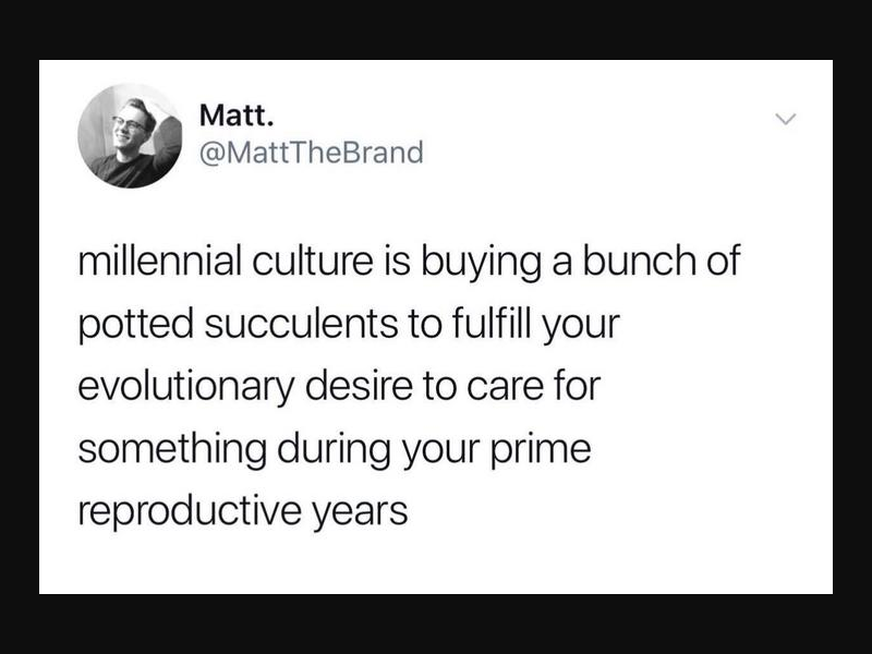 Mr_Memester_'s tweet photo. #lil #bit #meme #dump #memes #mrmemester #dank #memes2020 https://t.co/kcSiHaLYGl