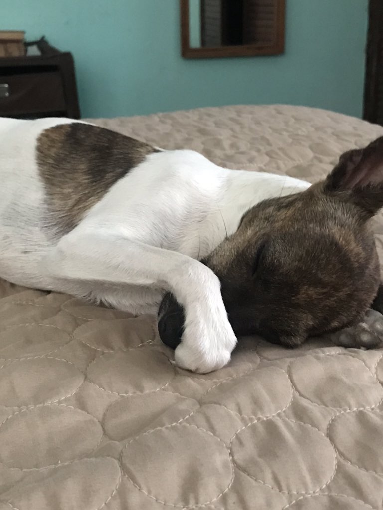 SayriMireles's tweet photo. @madydaily She’s a cutie 😍❤️ https://t.co/POhDy8gEzS