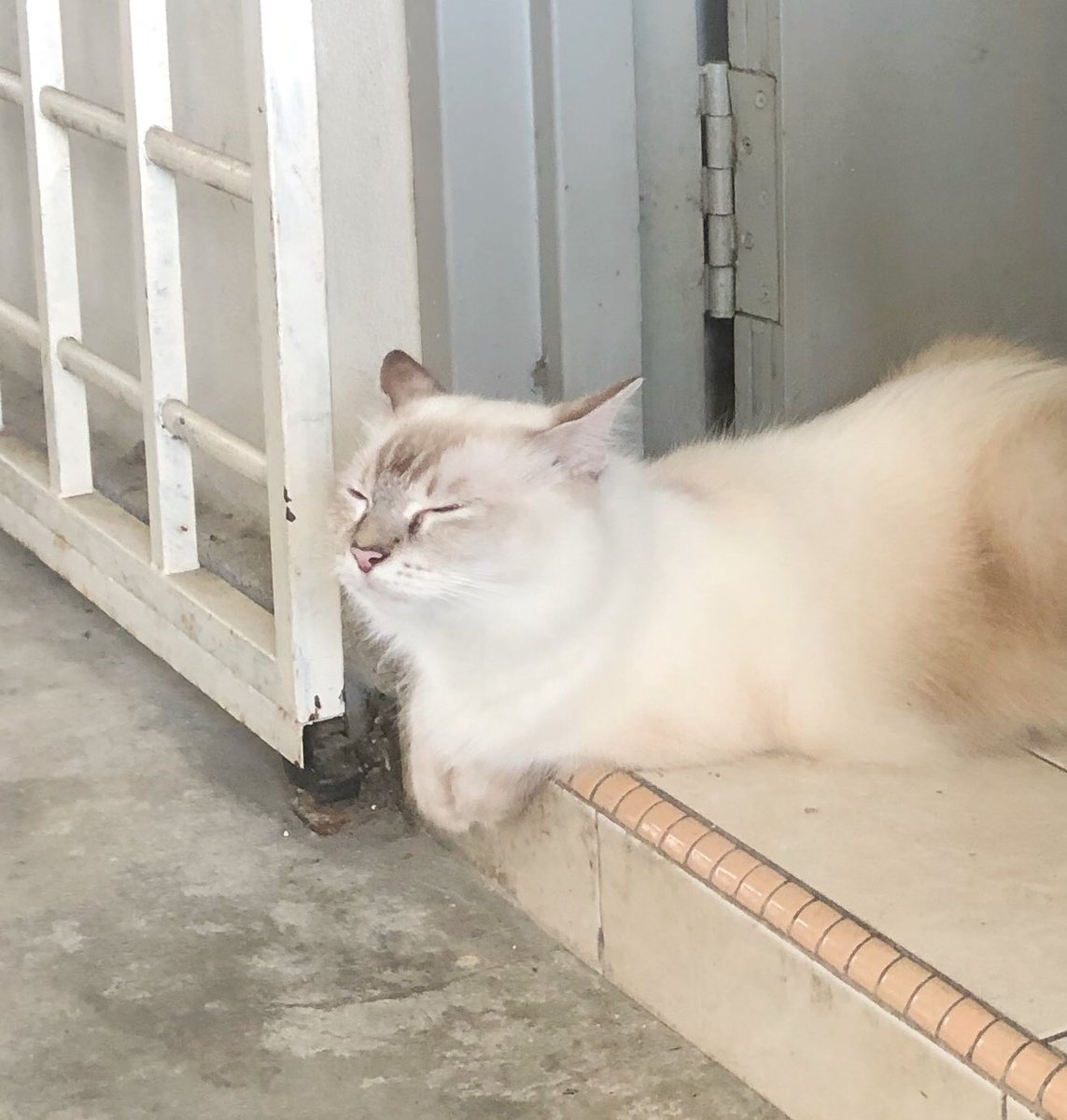 frdsh_'s tweet image. Dia punya amik udara luar tu, macam dia lah yang kena quarantine.