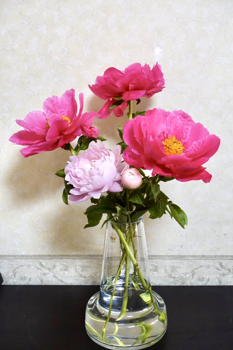 bibibom's tweet photo. おうち時間に彩りを🌺

近所の日比谷花壇で格安で沢山の花が買えました。お花屋さんも大変ですね。 https://t.co/pYfuJyEjdP