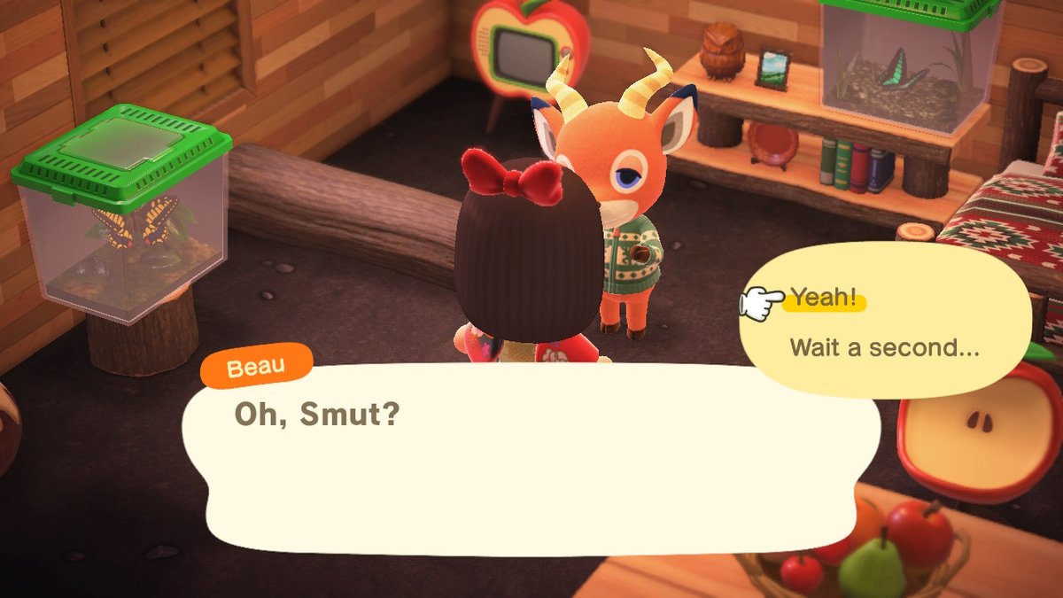 catiandria's tweet photo. #AnimalCrossing #ACNH #NintendoSwitch https://t.co/B4OaHtjTHv