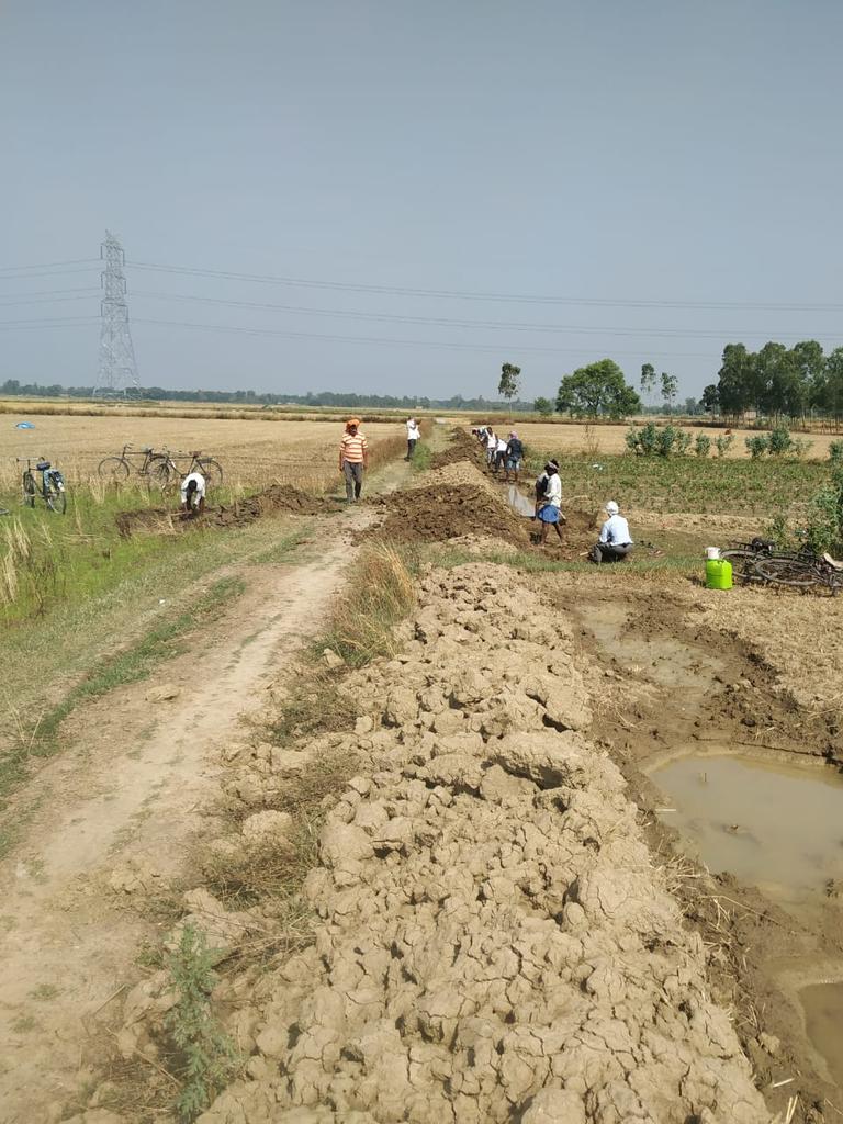 ग्राम पंचायत पूरा बक्स राय विकास खंड टांडा अम्बेडकर नगर में सड़क निर्माण कार्य राम सुख के खेत से नाला तक         मजदूरों की संख्या 28