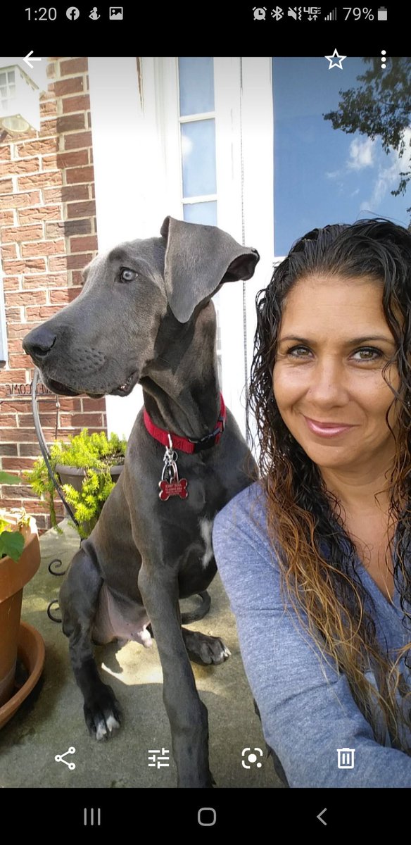 MamaJu_125's tweet photo. HaPpY 4tH bIrThDaY Cassius Clay Moses Trice!!!!
#MyPawsomeDane #TherapyDog #BlueDane https://t.co/TgVTDWFdDO