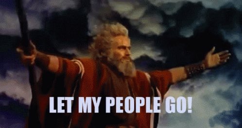 ksquared423's tweet photo. Murder Hornets?!? Really?! Where’s Moses at, bc I surrender #NoMorePlagues https://t.co/ZeXndq5b8C