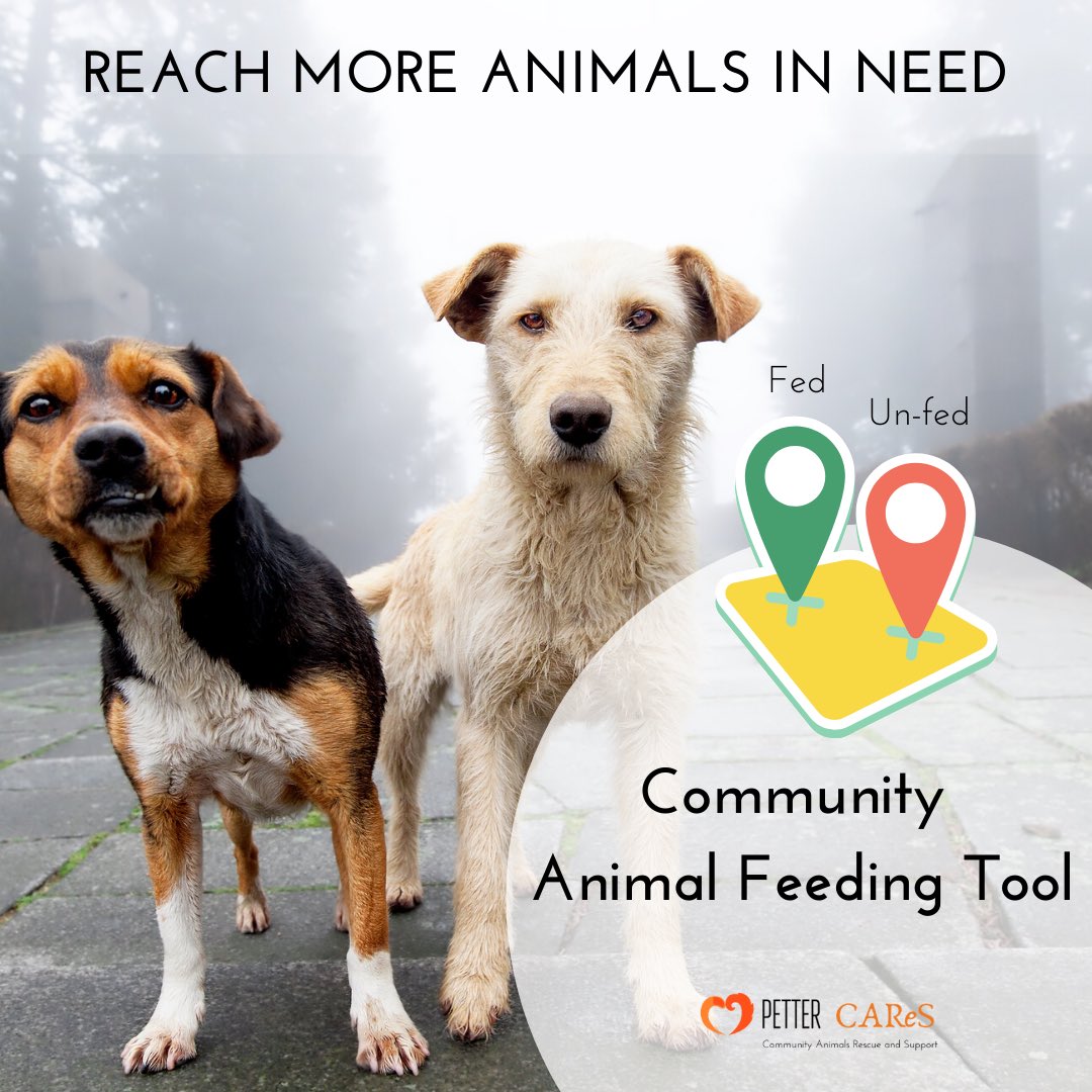 Petter_in's tweet photo. We have created a Community Animal Feeding tool https://t.co/591S6c9UME… to assist the animal feeders and carers who have been diligently caring for animals through this lockdown. #lockdown #feeding #strays #dogs #cats #puppies #cows #care #responsibly #petter https://t.co/SrtToD2CnC