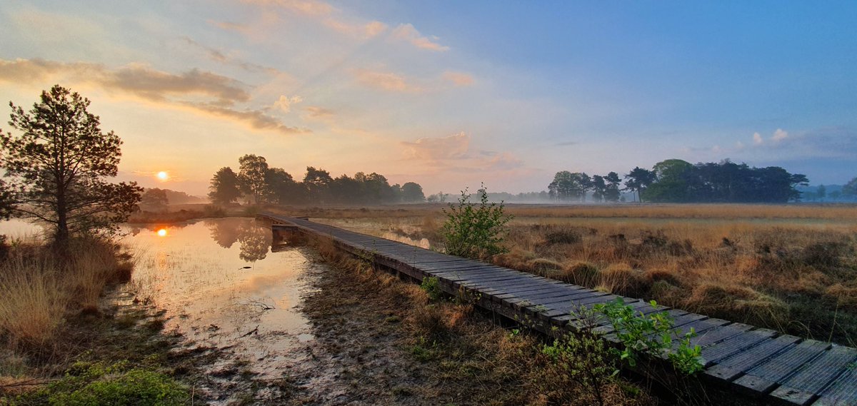 HansterHeijne 🇳🇱 tweet media