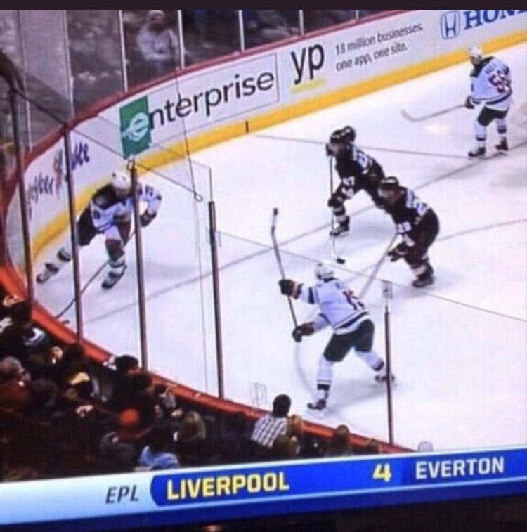 alexander orthey tweet media