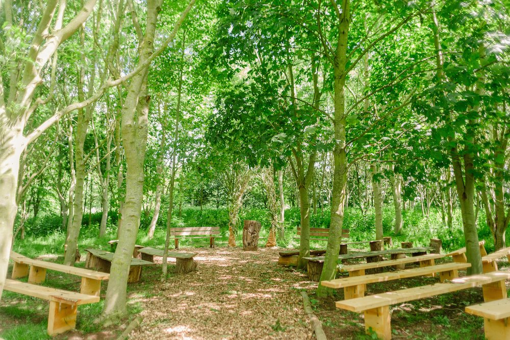 We host up to 8 weddings per season and our woodland weddings are very popular. We offer a magical space for those wishing to be married outdoors and surrounded by nature.