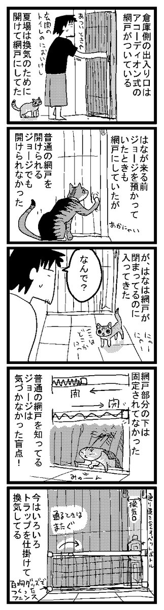 313 昨日もはながここから脱出しようとしてた 