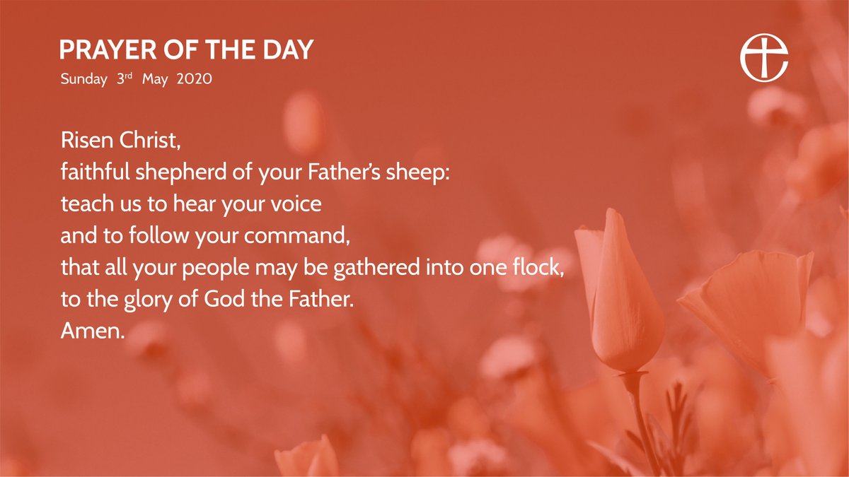Today we celebrate Vocations Sunday.

Access text and audio versions through our website at cofe.io/TodaysPrayer.