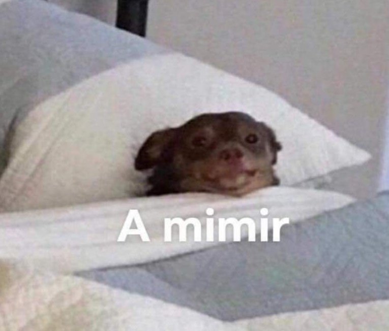 Salieron o a mimir?