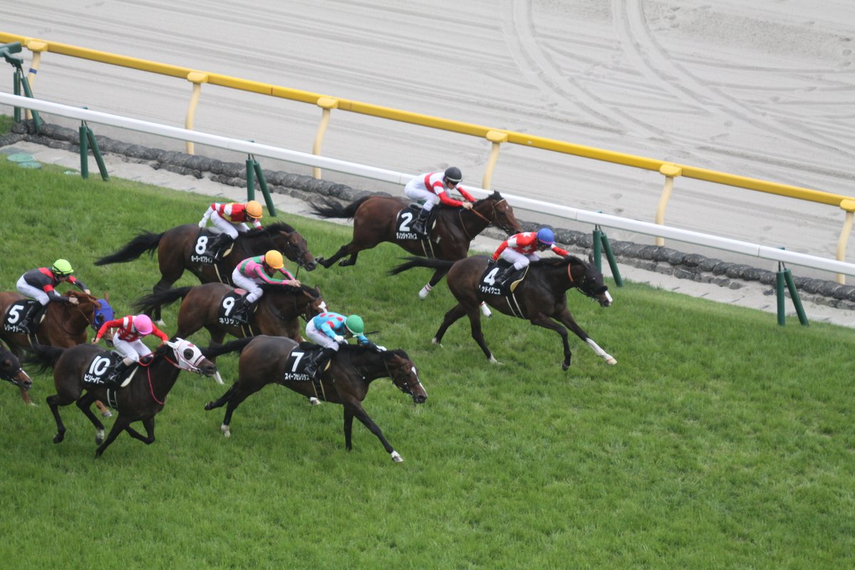 keiba1422's tweet photo. 【東京10R晩春ステークス・芝1400ｍ】
1着⑦スイープセレリタス（丸山）
2着⑪ミュージアムヒル
3着⑩ビリーバー

直線に入って横一線にもなった中、最後は1番人気の良血、#スイープセレリタス がクビ差制してオープン入り。#丸山元気 騎手は、きょう2勝目です。 https://t.co/xG94cxfRI7