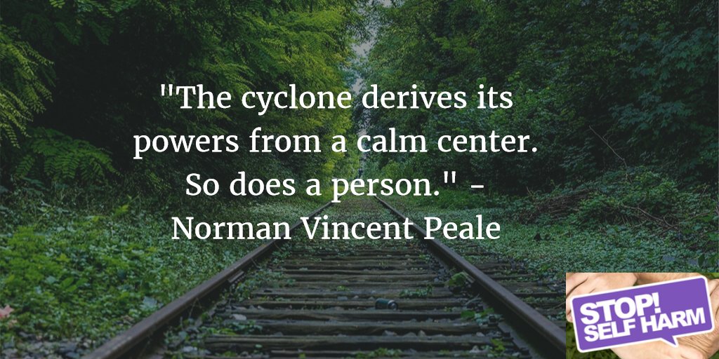 Stop Self Harm tweet media