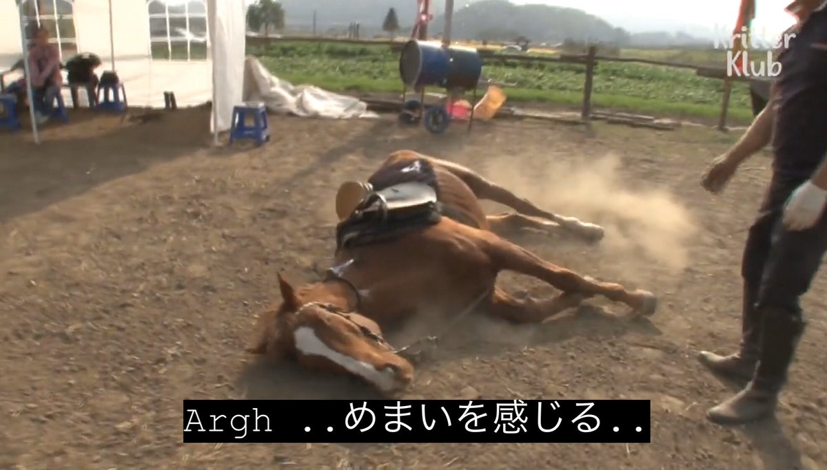 どうぶつ動画字幕bot Argh めまいを感じる T Co 4ztrtkoxnb