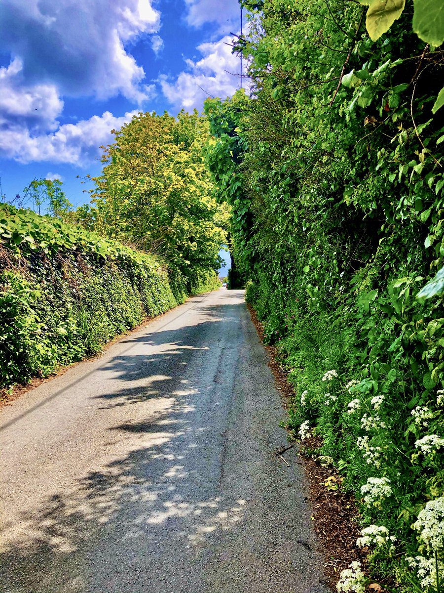 The lane from Mousehole to Paul has lots of secrets to share..monuments, museums and murder! Join me when this is all over to find out more! 😊 #exploremousehole <a href="/penleelifeboat/">RNLI Penlee Lifeboat</a> @realcornishcrab <a href="/ThroughTheGaps/">Fishing News Live</a> <a href="/pride_ocean/">Ocean Pride Project</a> <a href="/VisitCornwall/">Cornwall</a>
