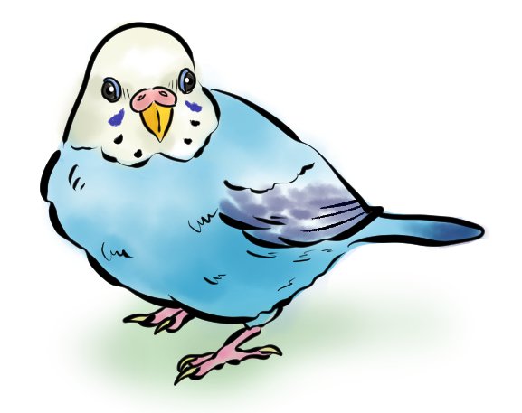 セキセイインコのイラストのtwitterイラスト検索結果 古い順