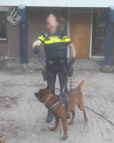 Bosschenaar (36) dwaalt rond op afgesloten bouwterrein in Rosmalen: politie grijpt in..