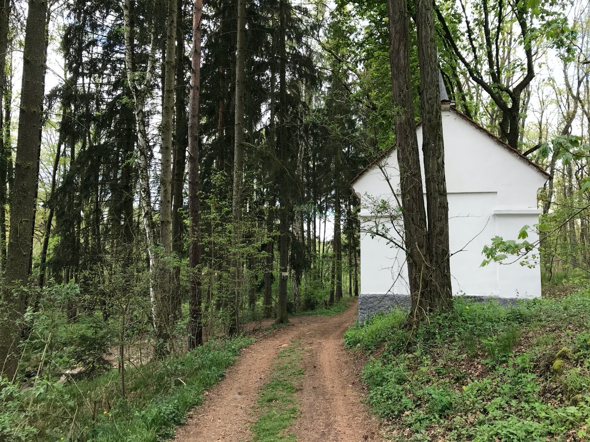 retroturistika's tweet photo. Kaple sv. Barbory u Nebílovy /GPS 49.6402936N, 13.4256853E/ #history #heritage #holy #chapel #nebilovy #cesko #czechia #zemeceska #fotocesty #vylet #putovani #turistika #trip #travelphotography #travel #interesting #forest #spring https://t.co/FnBbeyUm4B