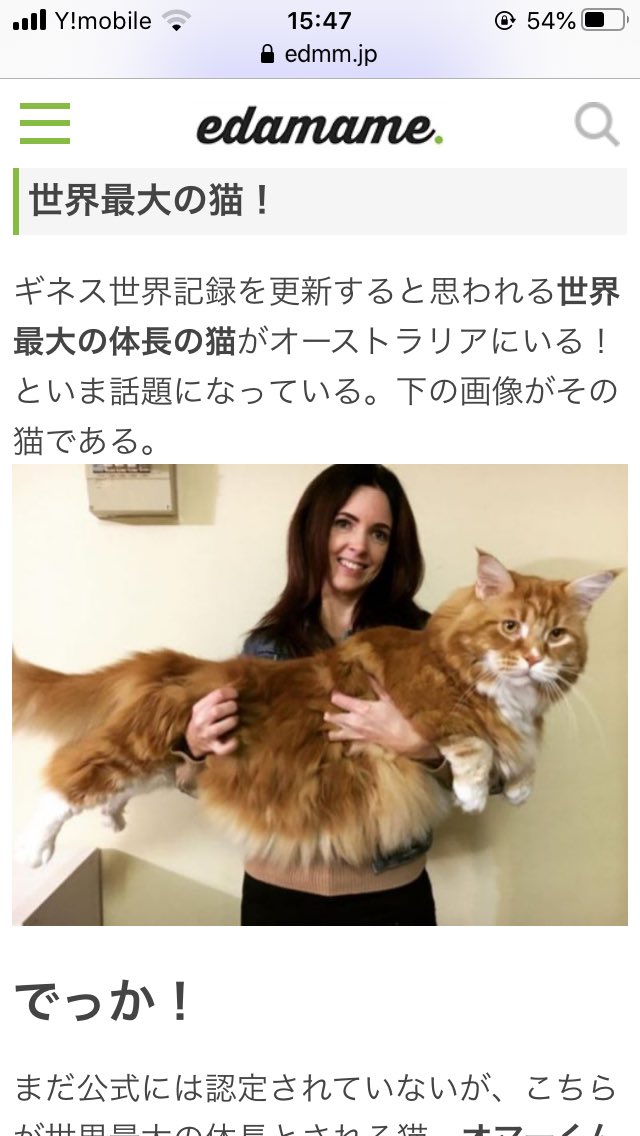 世界最大の猫 Twitter Search Twitter 世界最大の猫 Twitter Search Twitter