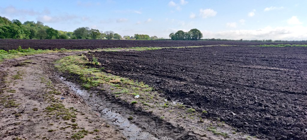 Enjoying the switch to gravel so much lately. Discovering new places that I would never have found before and, I tell you what, it's a bloody good workout slogging along dirt and gravel tracks.
