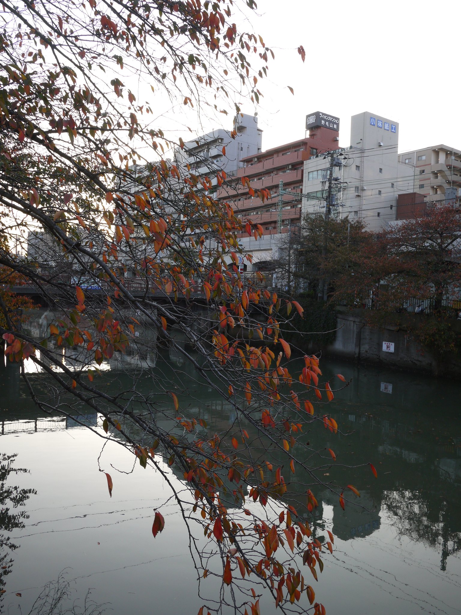 横浜の川 Twitter Search Twitter