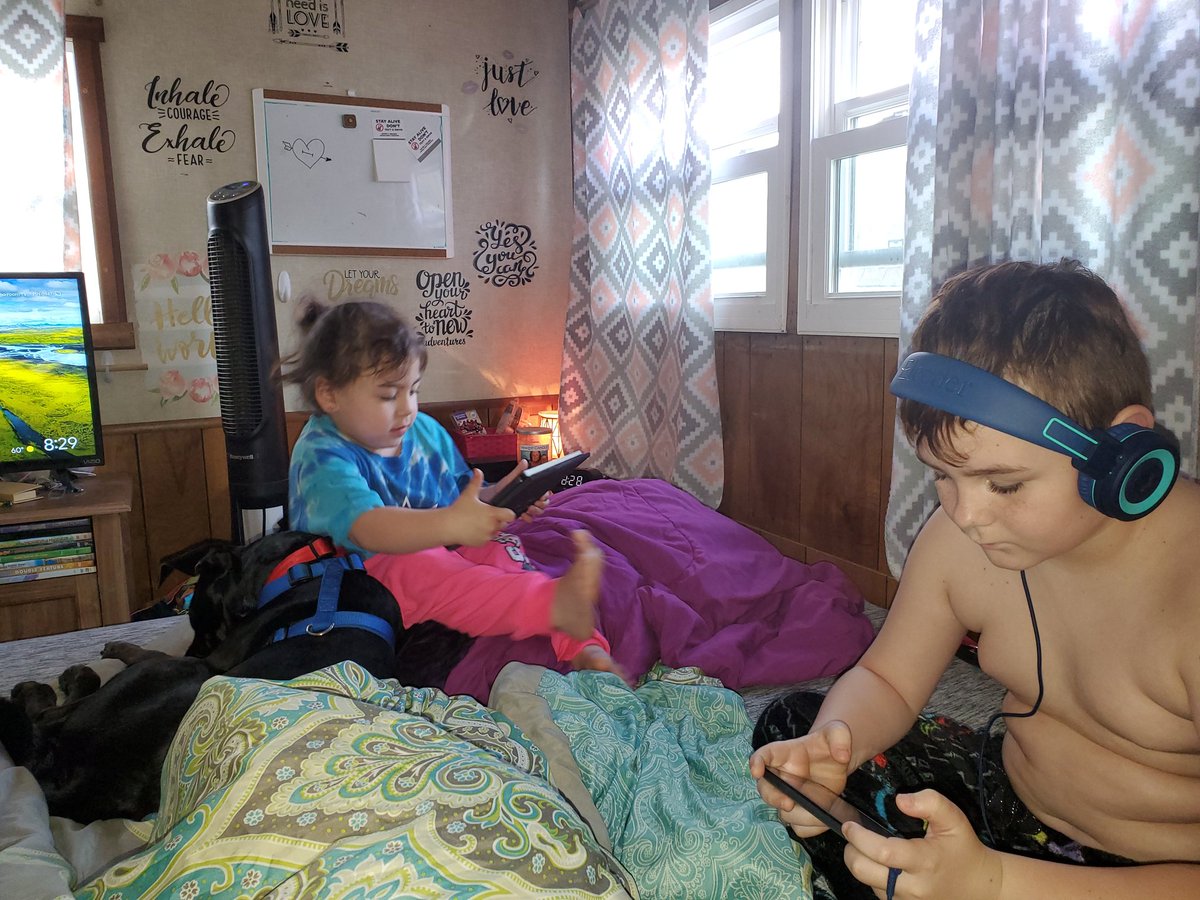 TaraHeaton9's tweet photo. #myminis #pitbaby #morninghangout https://t.co/JgsYFuhBYY
