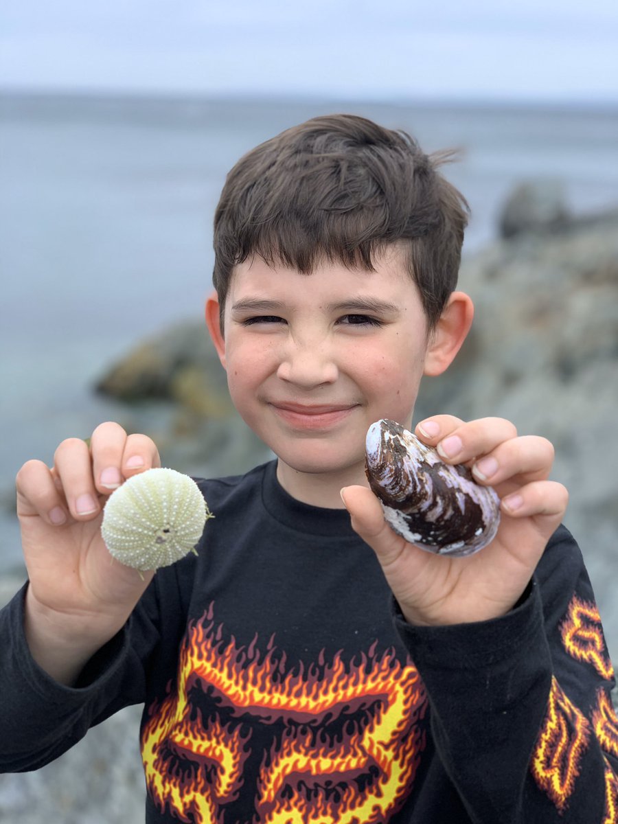 PaulaHousser's tweet photo. Ewan Housser exploring the beach in Bishop’s Cove - grade 2 @triconschool @Chicks596 @PESICNL @MrsDonnaBarrett #pesicnlstaysafe #findingtheflow https://t.co/O0p6BFw7IM