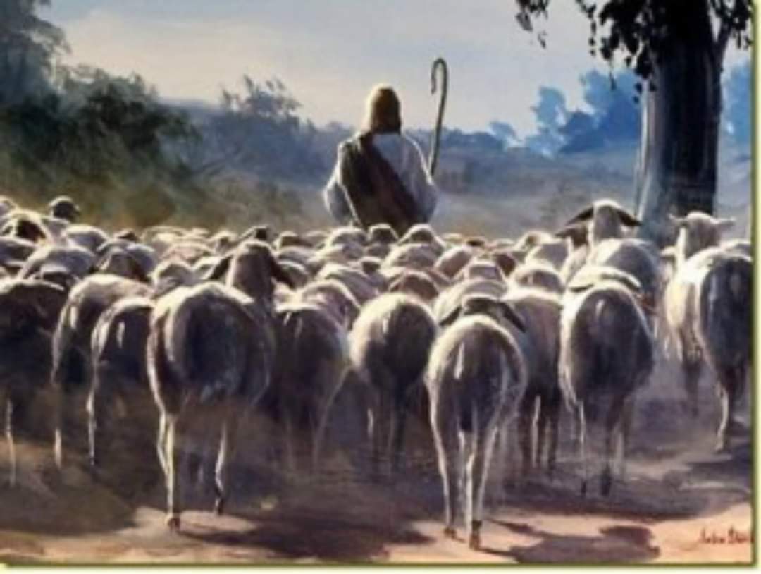 Marzullos's tweet photo. Il Signore è il mio pastore: non manco di nulla @SaveChurchOLMC
@NewarkArchdioce @CardinalJWTobin Community Outreach Program for OLMC #BuonaDomenica https://t.co/hyAH5jruiJ