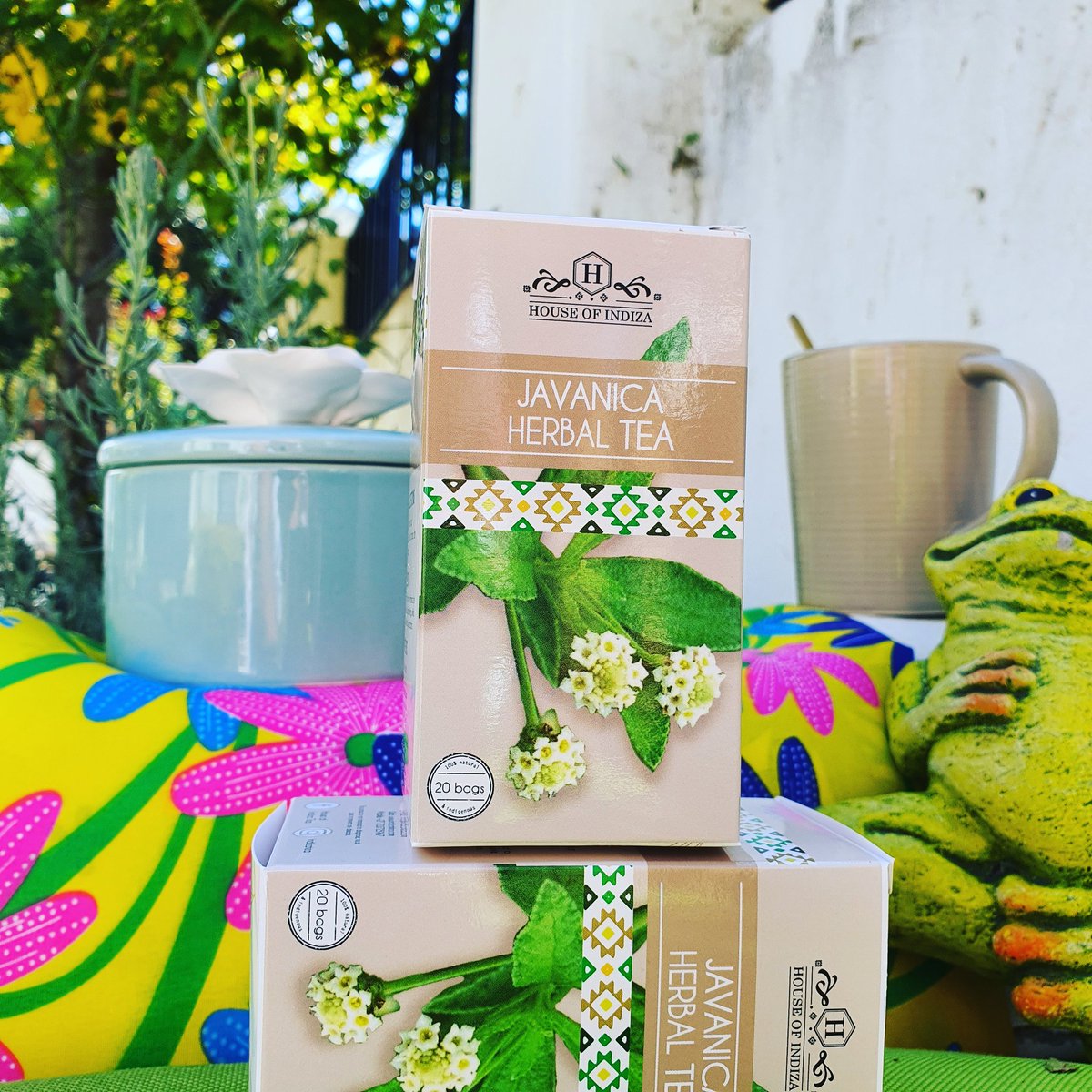 IndiZAFoods's tweet photo. The most flavorsome and aromatic tea. It will open your chest. Drink it to relieve congested sinuses.
#javanicatea
#indigenoustea
#day38oflockdown #Covid_19
#MadagascarCure
#cabinetreshuffle https://t.co/SZXSGVwSSx