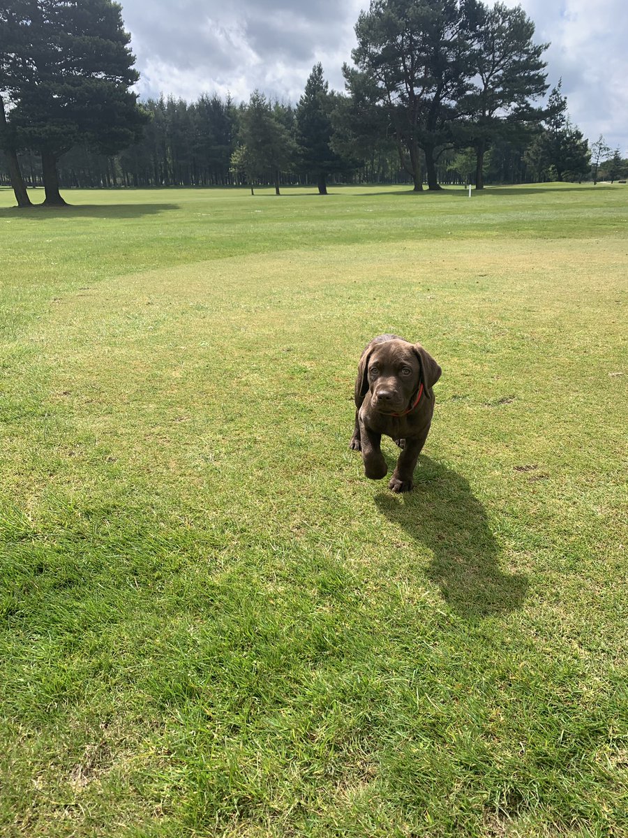 Martin McCann tweet media