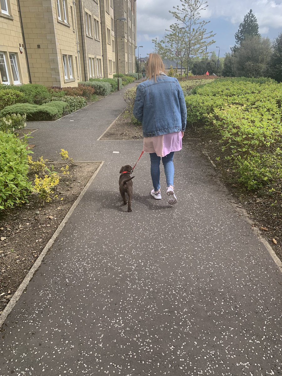 Martin McCann tweet media