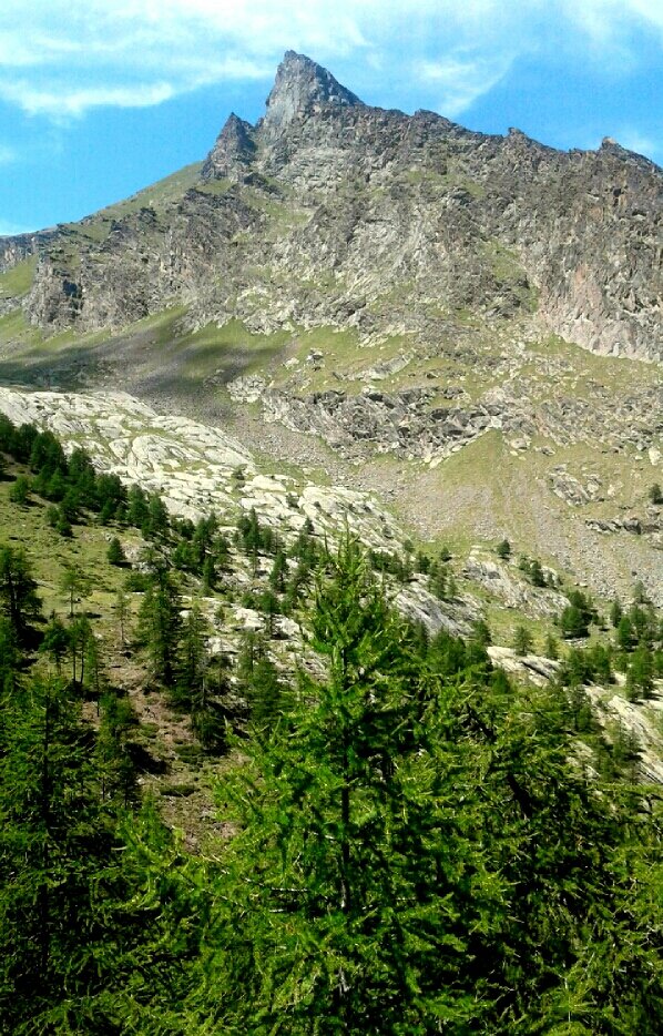 Antonella_Noire's tweet photo. Piccole grandi ore #alpine : il valore delle "piccole cose" in #montagna 
Punta #Pousset e vallone omonimo 💙  Estate2019 
#naturephotography #mountainslovers https://t.co/G8Q1A0VQ6r