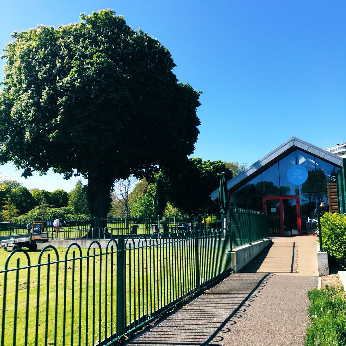 💫Dreamlike walk through Herbert Park this morning as I counted my blessings. So grateful to have this beautiful park within #2kmfromhome plus a <a href="/LollyandCooks/">Lolly and Cooks</a> coffee shop.