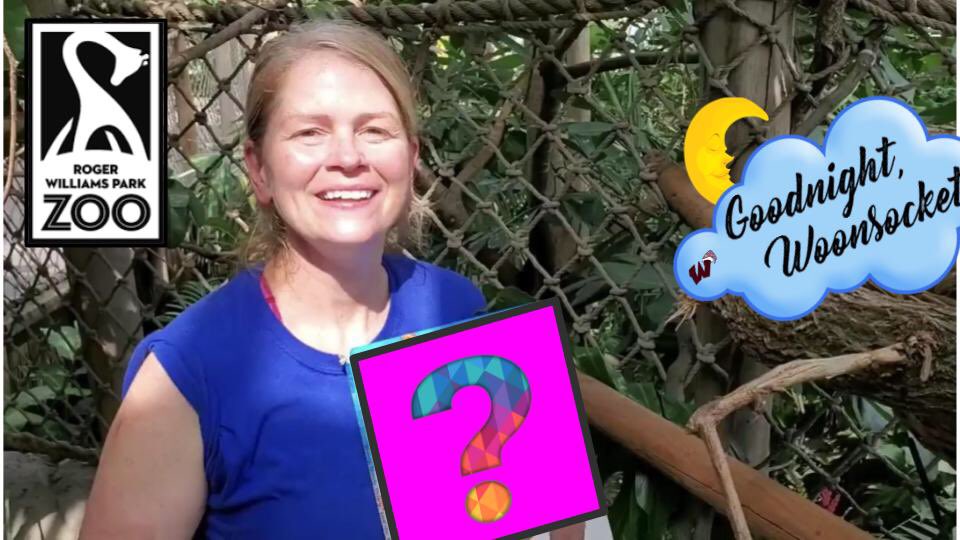 whyweblend's tweet photo. A HUGE thank you to Jen, zookeeper extraordinaire, from @RWPZoo for sharing a story with us tonight. I can’t help but wonder if her two adorable friends will steal the show!?! Tune in at 7pm at https://t.co/Z6lsGzmVtu for one of our favorite stories yet! 📚😴❤️ https://t.co/iMqaxtevVI