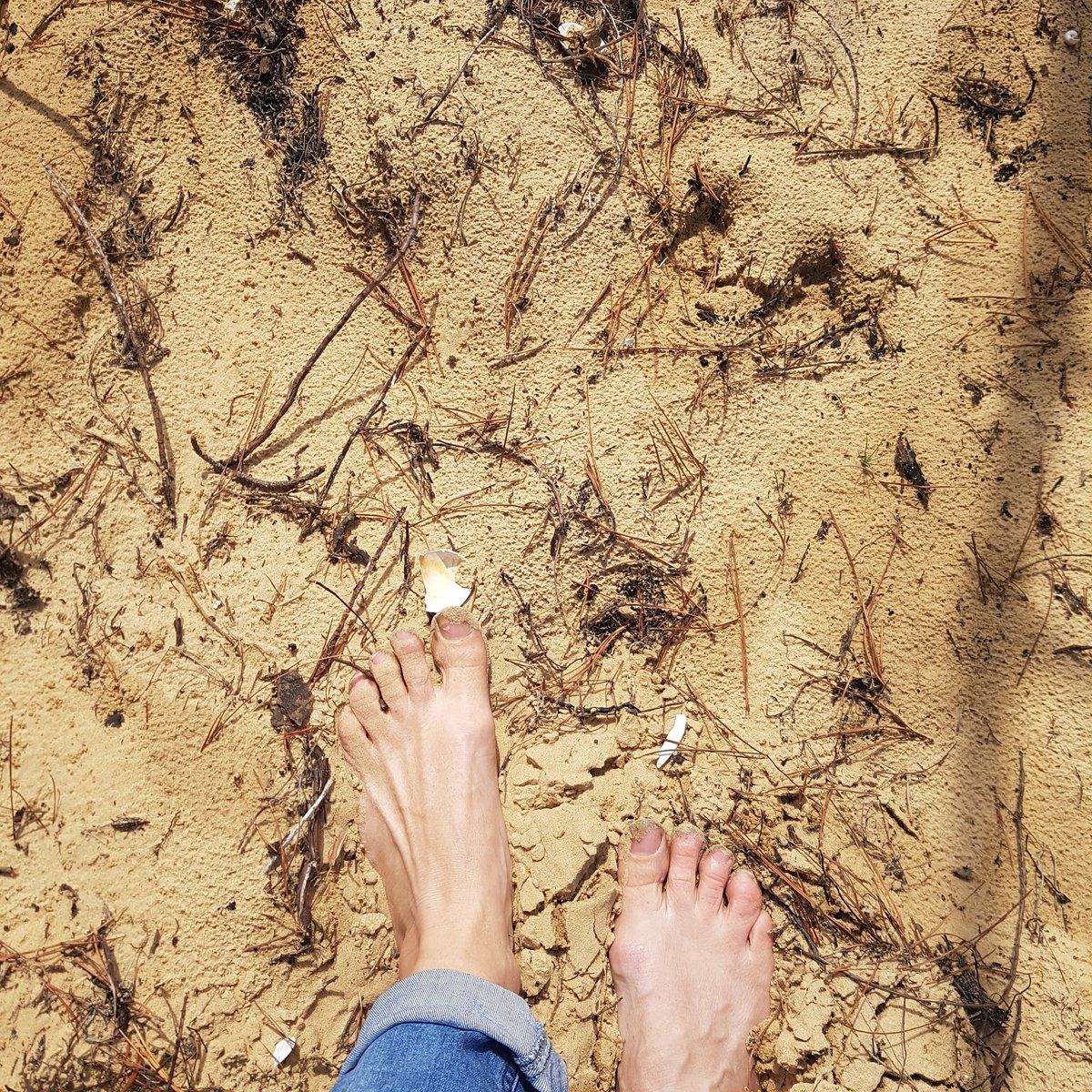 StaffHealthy's tweet photo. We all spent yesterday inside hiding from the cold gusty winds, to head out for fresh air today, and bare feet... glorious..

#IsolationLife
#tasmania #beachcomber #hobart https://t.co/mpzMTcH58w