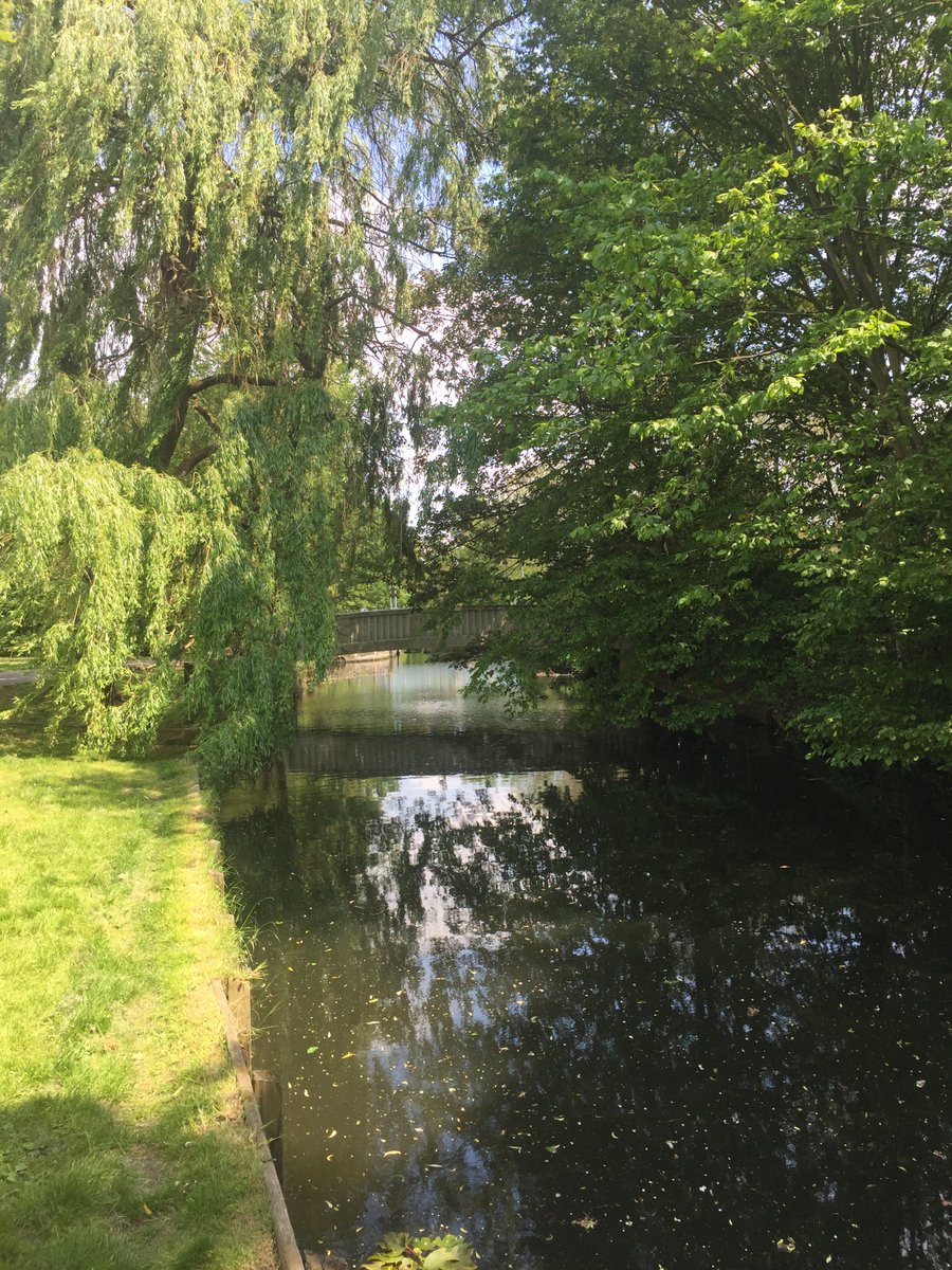 CVP_CraneValley's tweet photo. #covid19lockdown #virtualtour of Crane Valley river system. #bridgesunday. Bridge over the River Crane at Kneller Gardens, Twickenham @LBRuT. Plus upstream and downstream views from this bridge. @ParksforLondon @KnellerGardens @FriendsRivCrane @swlen @TCVRichmondGG @RichmondTCV https://t.co/1m8VIbcgCt