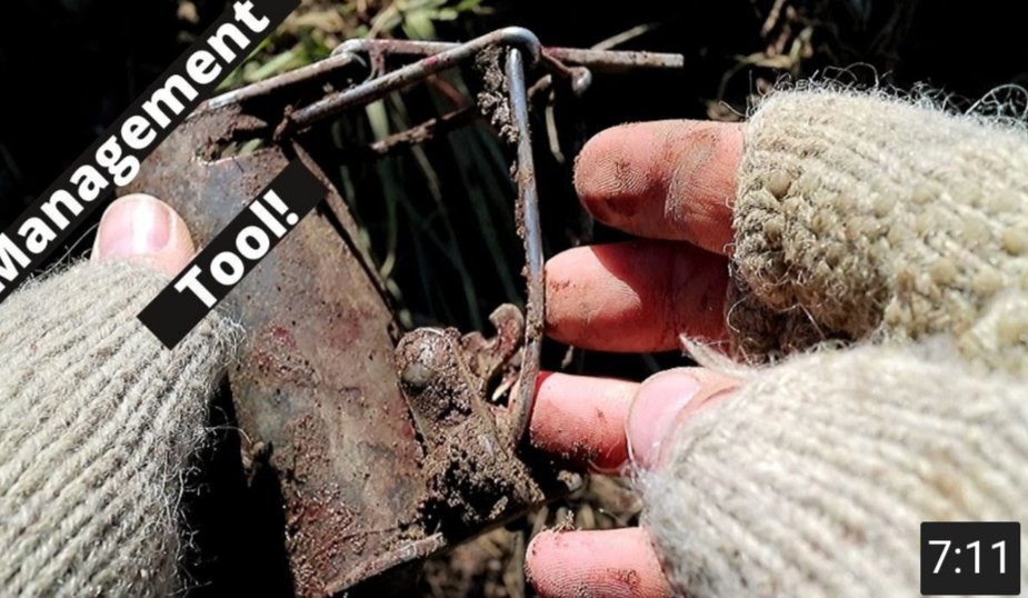 ManOverBeast's tweet image. Let&apos;s Talk Trapping:
youtu.be/Tg6791WJ4uM