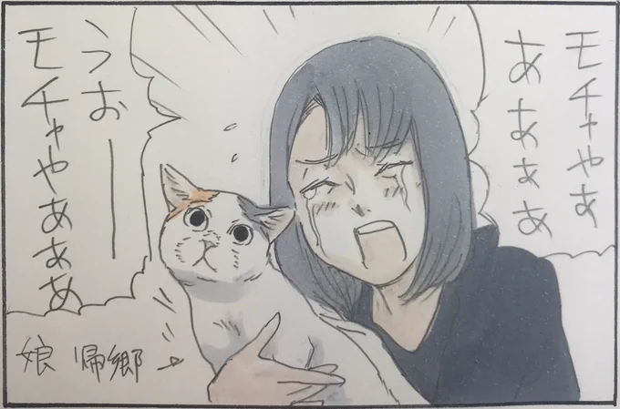 『こじらせ猫不足」 