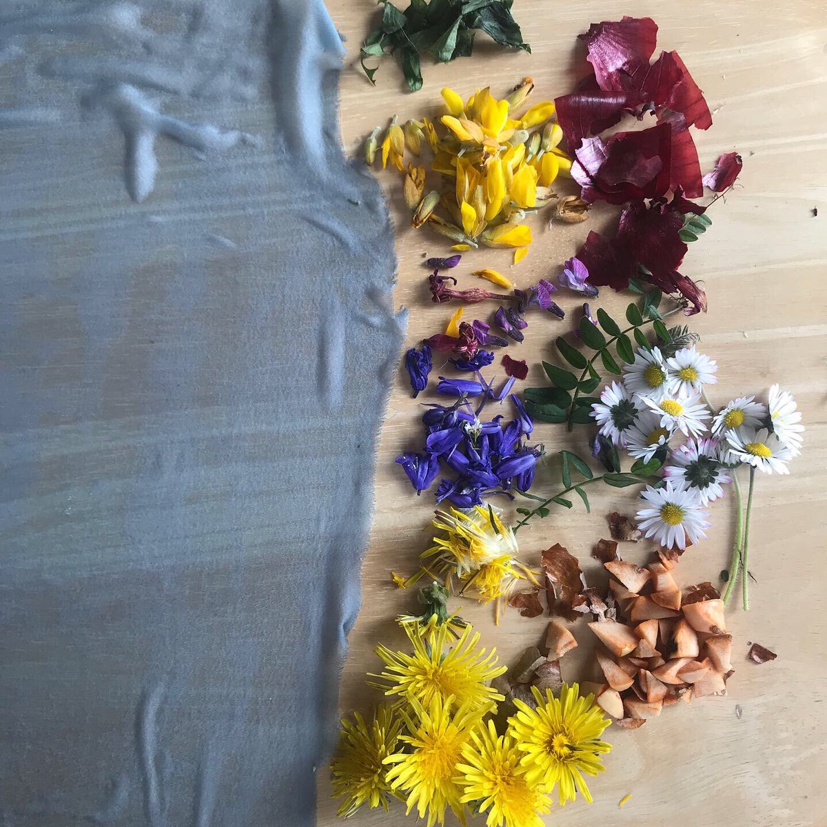 🌼🌸 Saturday’s bundle dye 🌸🌼