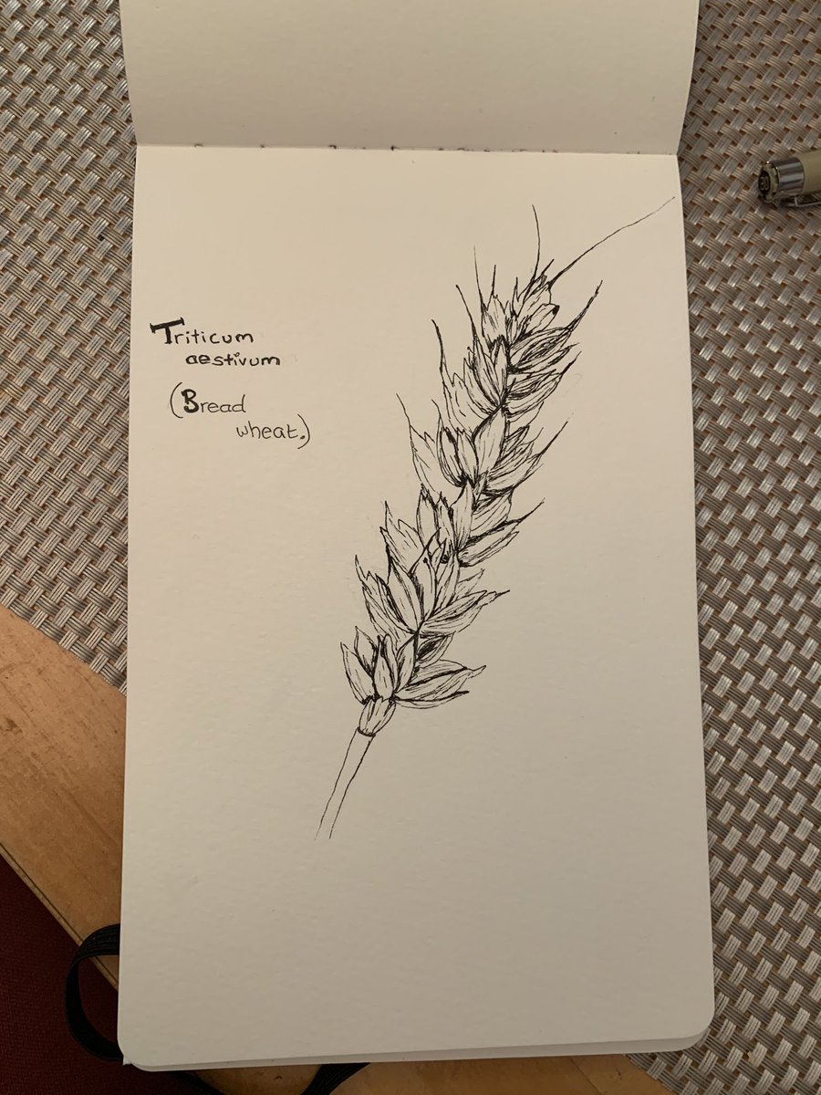 Alice Oliver tweet media