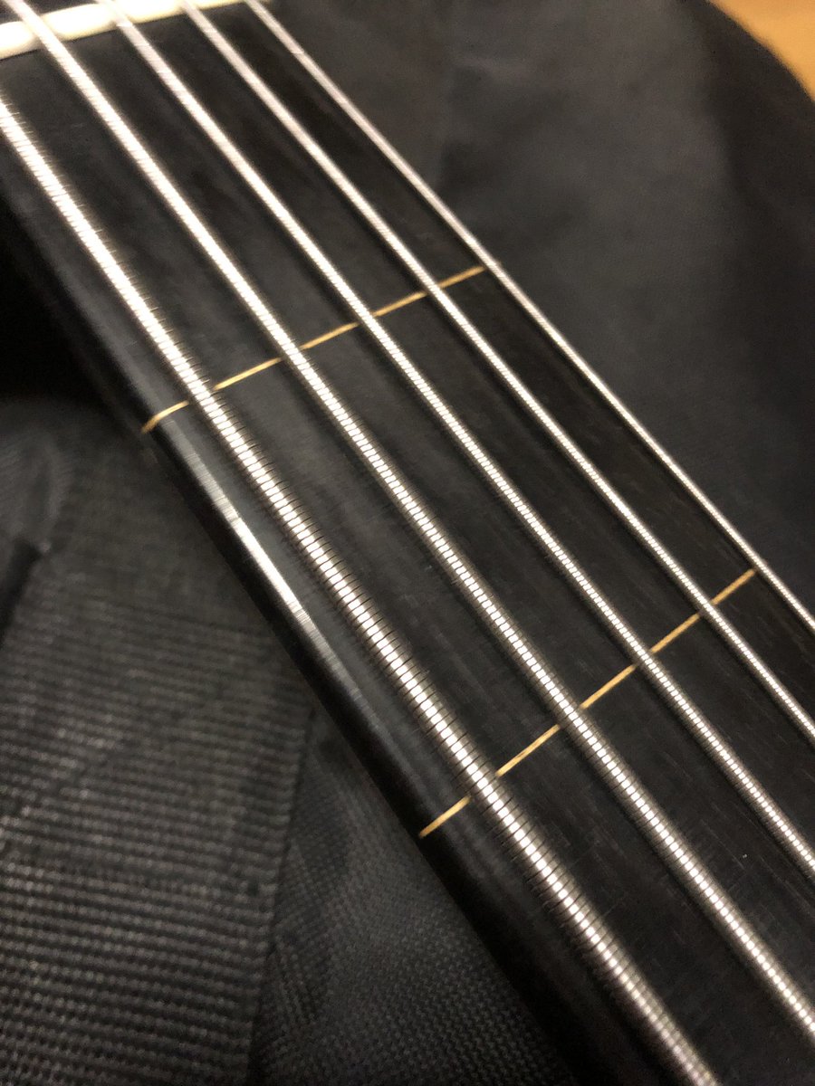 決まりました】TUNE Bassmania フレットレス加工 フラットワウンド弦