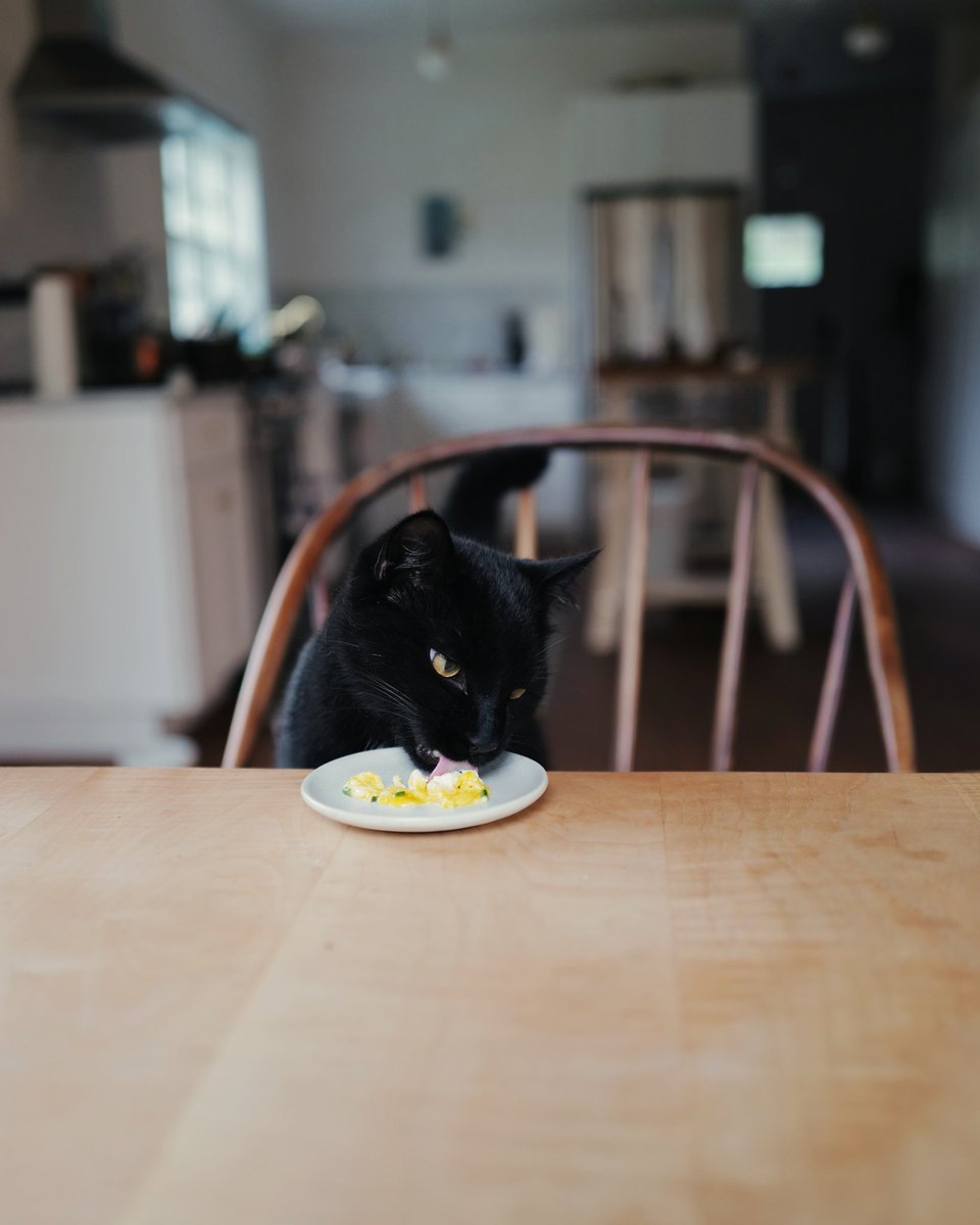 Squeak, if you eat them, no new omelettes!