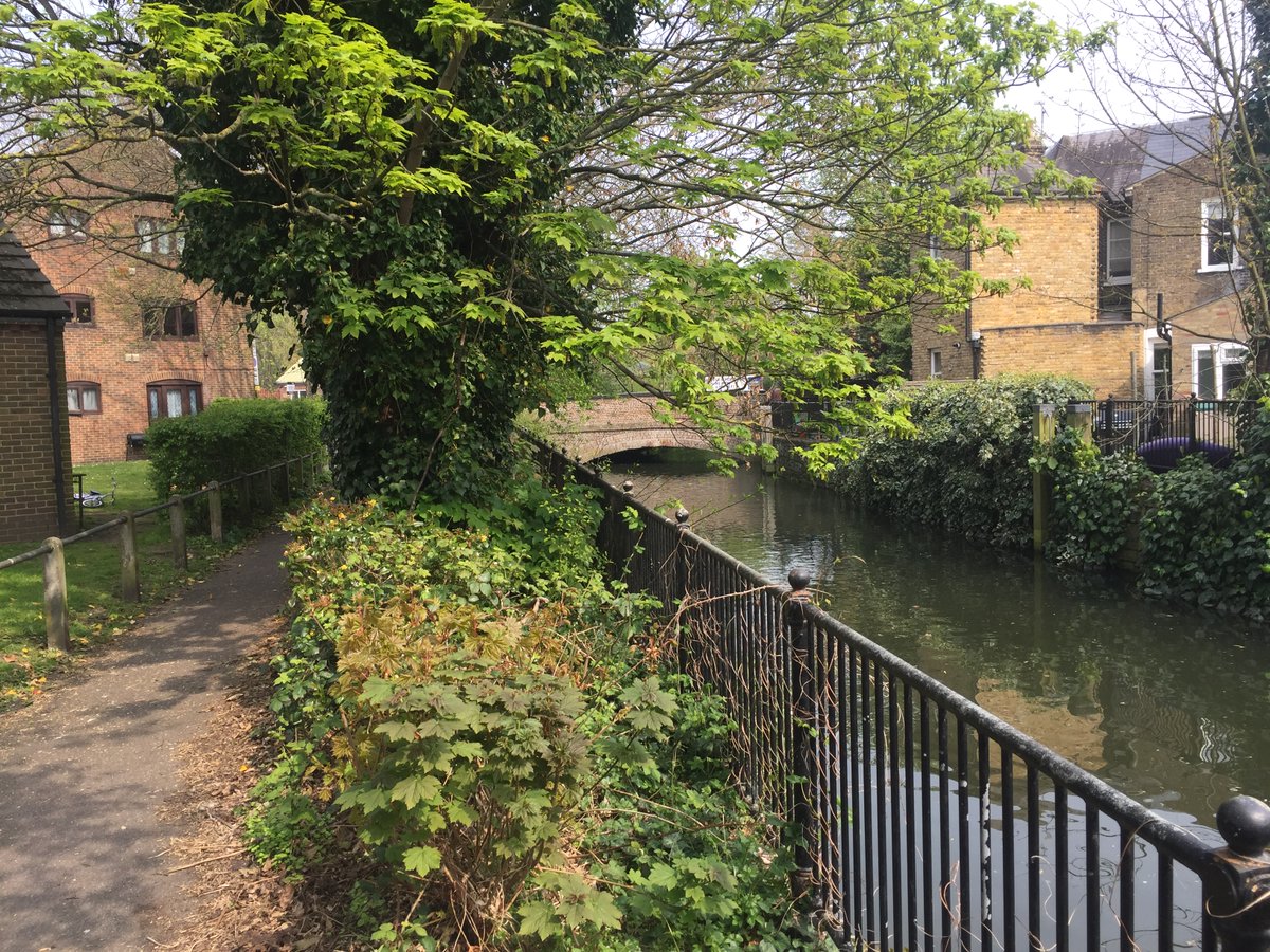 CVP_CraneValley's tweet photo. #covid19lockdown #virtualtour of Crane Valley river system. #bridgesunday. The A3004 Richmond Road bridge is the last public highway bridge over the River Crane before the watercourse flows into the River Thames. @LBRUT @LBofHounslow @LondonNPC @FriendsRivCrane @swlen @TidalCrane https://t.co/9As3CL2AYj
