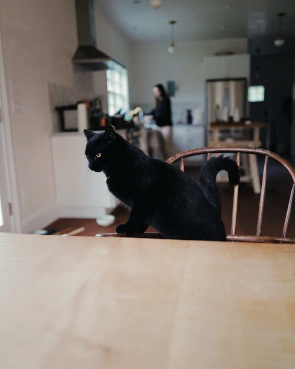 Squeak, if you eat them, no new omelettes!