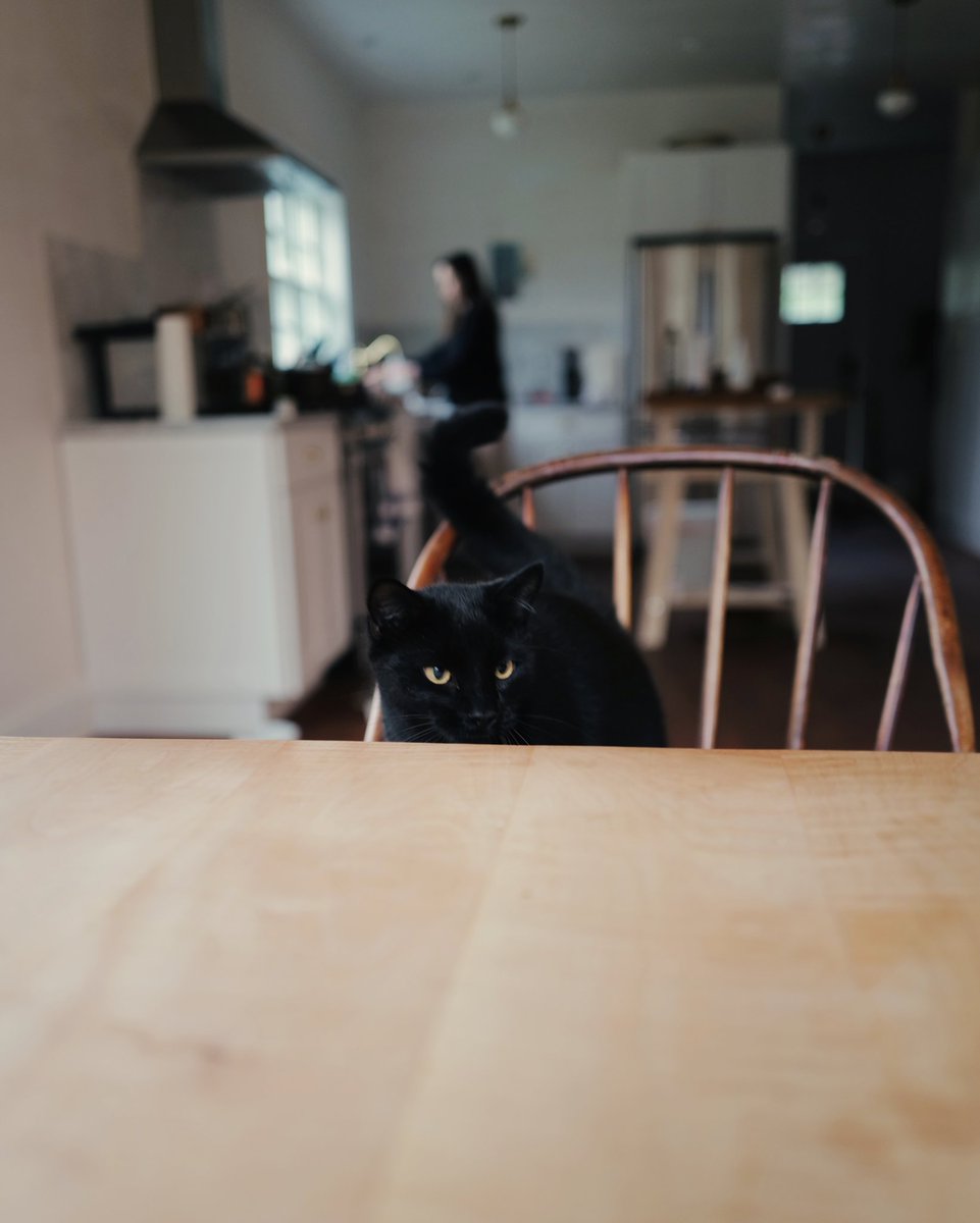 Squeak, if you eat them, no new omelettes!