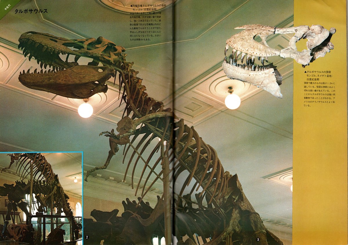 整理していて出てきた、1979年に上野の国立科学博物館で開催された「大