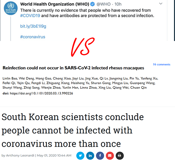 magnumquest2's tweet photo. The statement that people can not get re-infected was by Dr Myoung-don Oh, Member of WHO's STAG-IH #WHOLied #SayNoToBillGates https://t.co/MqsLwXLGKj